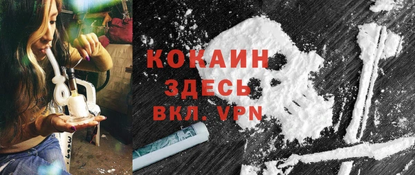индика Белоозёрский