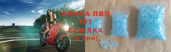 индика Белоозёрский