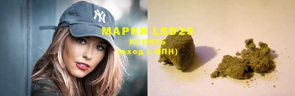 шишки Беломорск