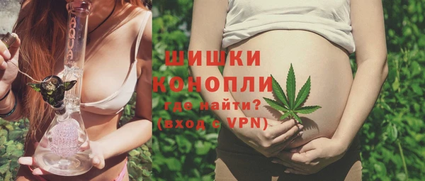 гидра Богородск