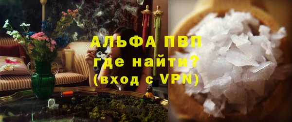 шишки Беломорск