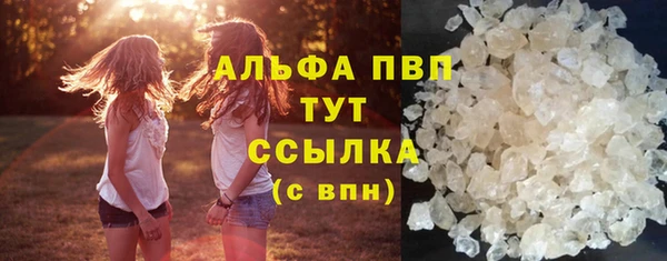 спиды Белокуриха