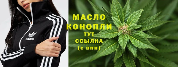индика Белоозёрский