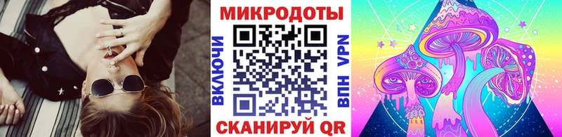 Галлюциногенные грибы Psilocybine cubensis  Бежецк 